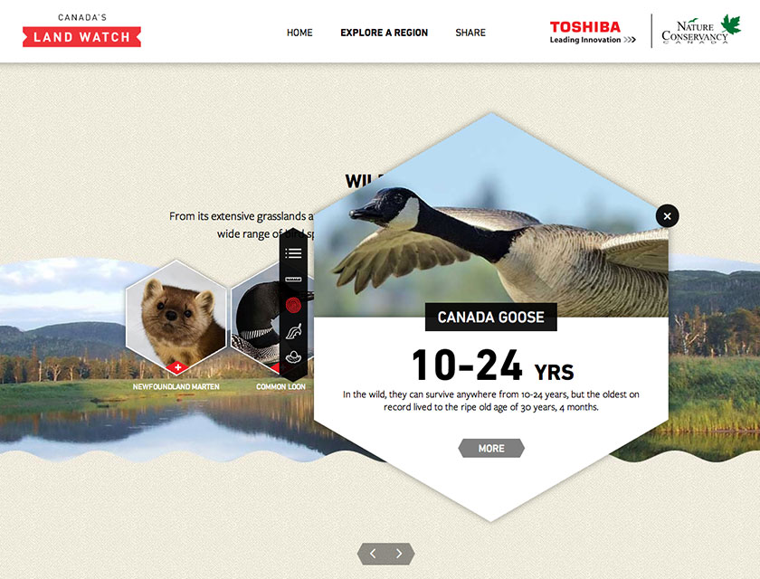Canada's Land Watch website